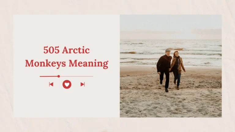 505 Arctic Monkeys Meaning
