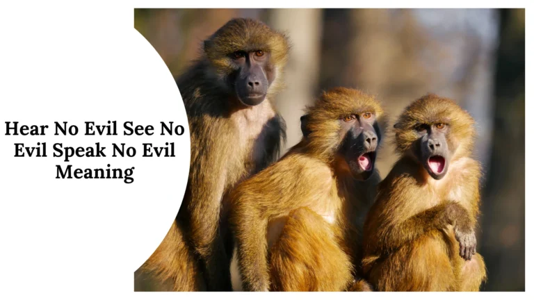 Hear No Evil See No Evil Speak No Evil Meaning