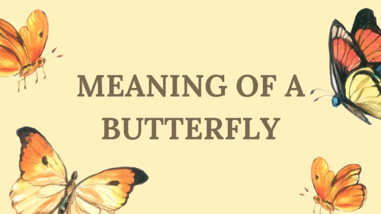 Meaning of a Butterfly