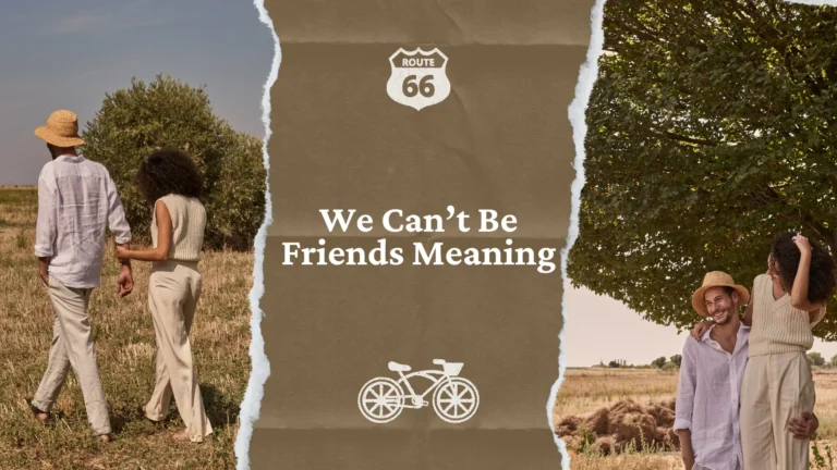 We Can’t Be Friends Meaning