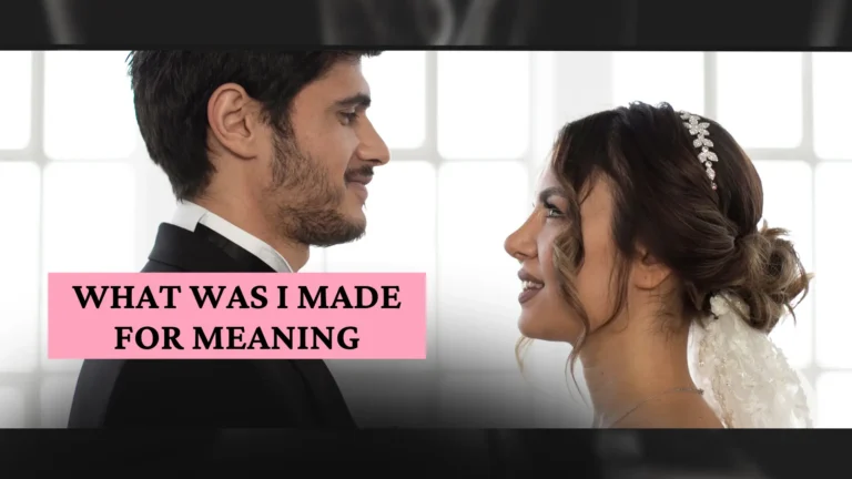 What Was I Made for Meaning